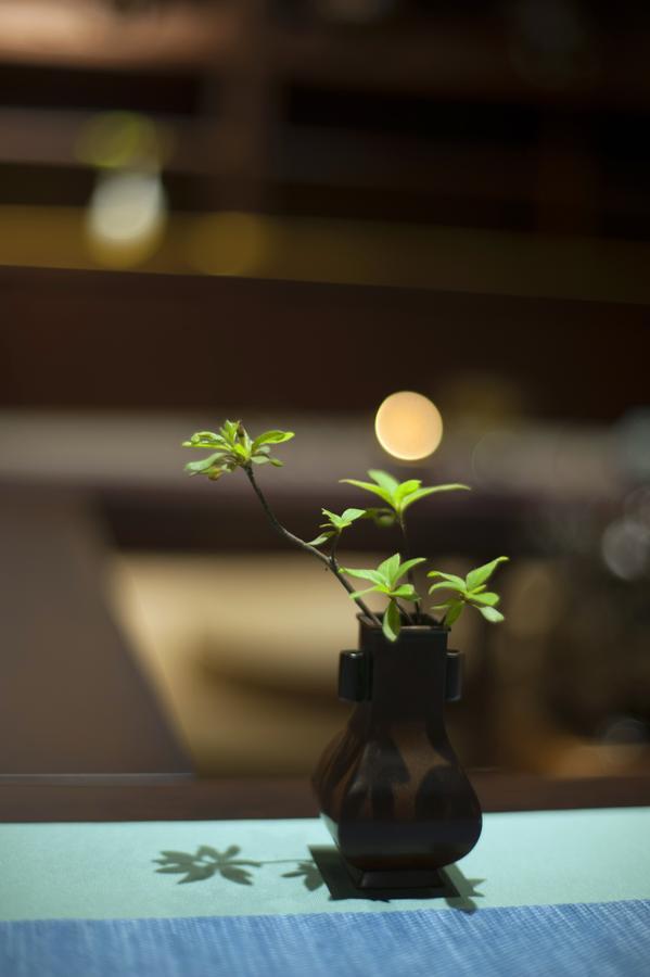 At Heart Zen Hotel Ченду Екстер'єр фото